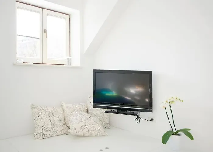 The Cute, Sunny In The Center +p Apartma