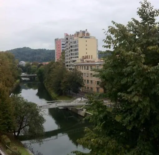 The Cute, Sunny In The Center +p Apartma