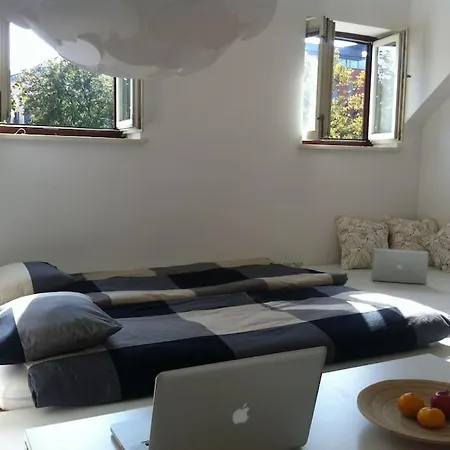 The Cute, Sunny In The Center +p * ليوبليانا