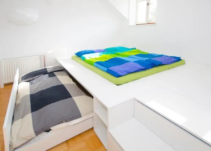 The Cute, Sunny In The Center +p ليوبليانا